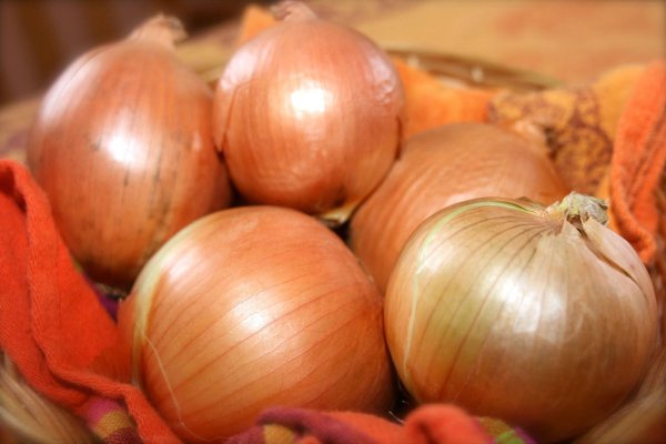 Kraken onion ссылка