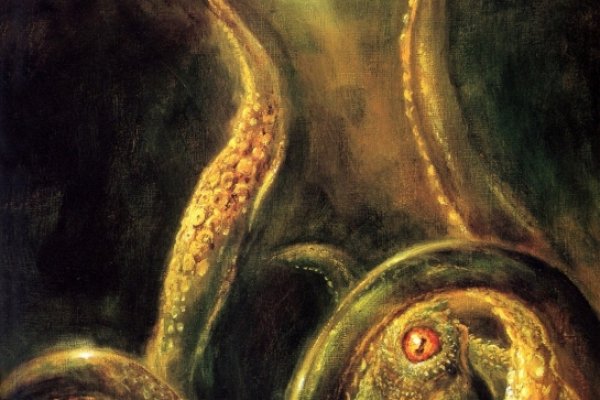Kraken ссылка kraken torion