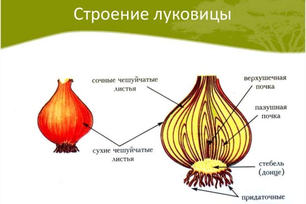 Можно ли зайти на кракен через обычный браузер